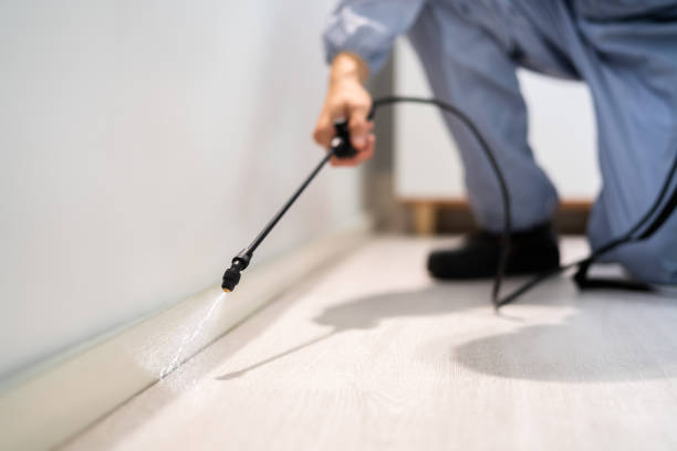 Bed Bug Pre-Treatment Preparation Assessment in Despard