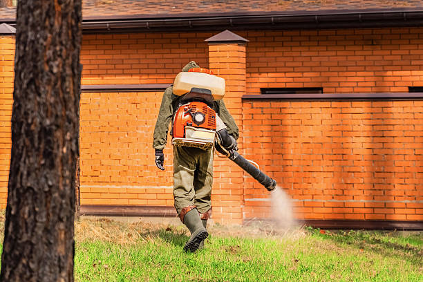 Bed Bug Clearance Verification and Documentation in Despard